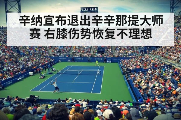 辛纳宣布退出辛辛那提大师赛 右膝伤势恢复不理想